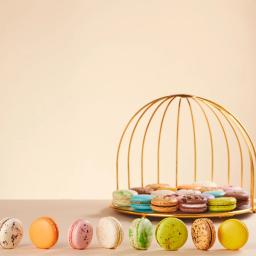 Macarons